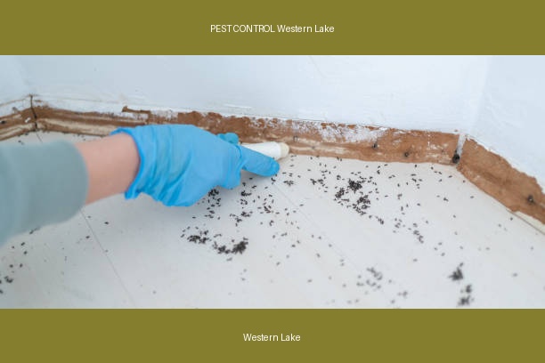 PEST CONTROL Western Lake